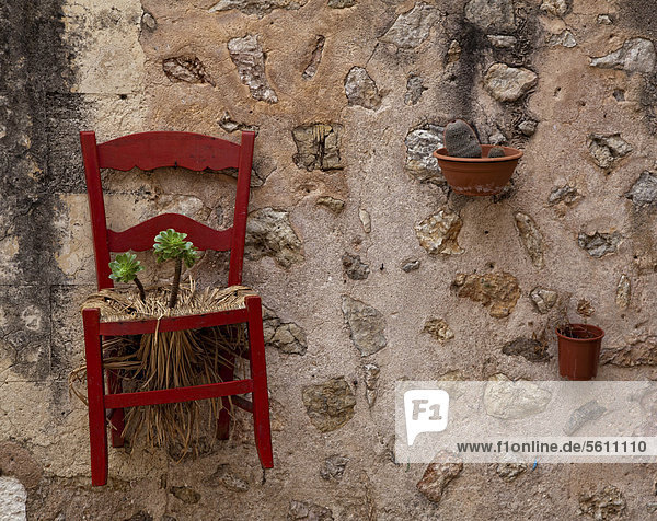 Chair with a flower growing from it on a wall  Valldemossa  Majorca  Balearic Islands  Spain  Europe