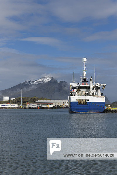 Fischtrawler im Hafen  Höfn  Island  Nordeuropa  Europa