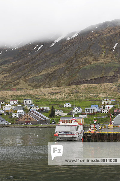 Port and town of Siglufjoerdur  Iceland  Northern Europe  Europe