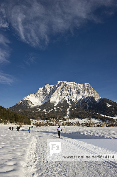 Cross-country skier and walkers  Zugspitze near Lermoos  Tyrol  Austria  Europe
