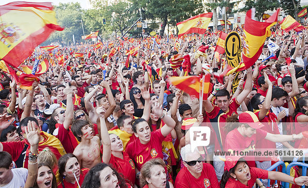 Spanish supporters gathering for viewing the final match  2010 FIFA World Cup Final  Madrid  Spain  Europe