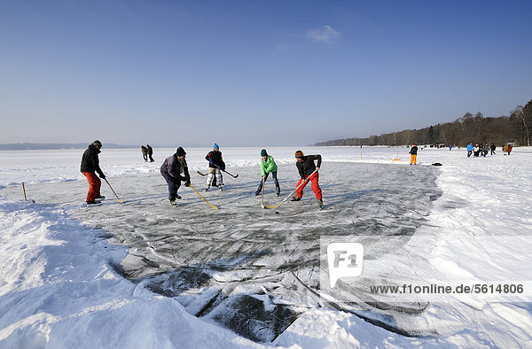Hockey players on the frozen Lake Starnberg  St. Heinrich  Upper Bavaria  Bavaria  Germany  Europe  PublicGround