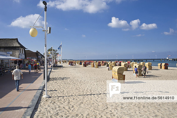 Roofed wicker beach chairs standing on the beach  beach promenade  Dahme  Baltic Sea  Schleswig-Holstein  Germany  Europe