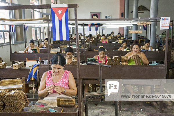 Mehr als 100 Frauen arbeiten in der Zigarrenfabrik Fabrica de Tabaco Carlos Rodriguez Cariaga  Ciego de Avila  Kuba  Mittelamerika