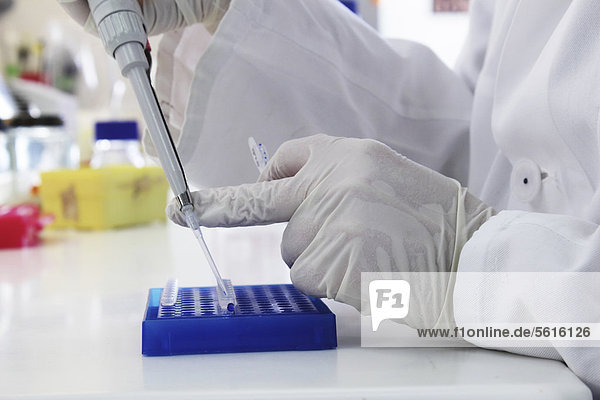 Wissenschaftler mit Präparaten  im Labor