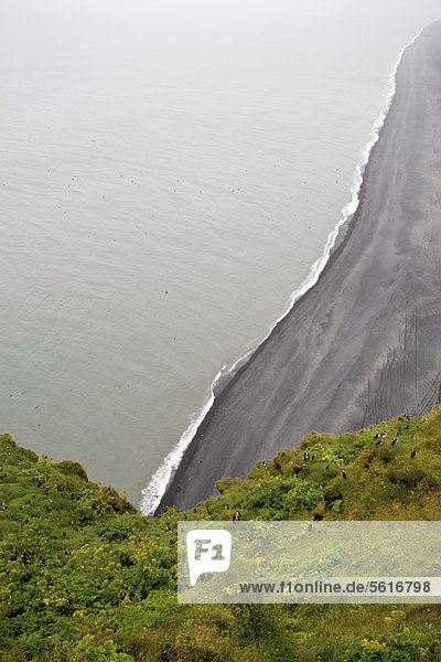 Erhöhter Blick auf den schwarzen Sandstrand  Halbinsel DyrhÛlaey  Island
