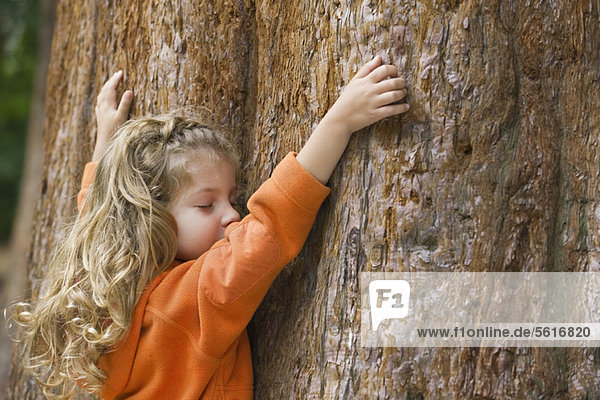 Kleines Mädchen berührt Baumstamm