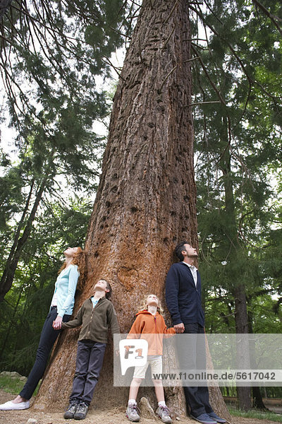 Familie steht zusammen am Fuße eines hohen Baumes und hält sich an den Händen.