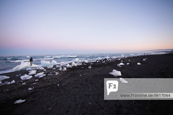Large pieces of glacial ice washed up on beach  Jokulsarlon glacial lagoon  Iceland