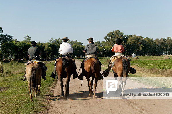 Gauchos on horseback  Estancia San Isidro del Llano towards Carmen Casares  Buenos Aires province  Argentina  South America