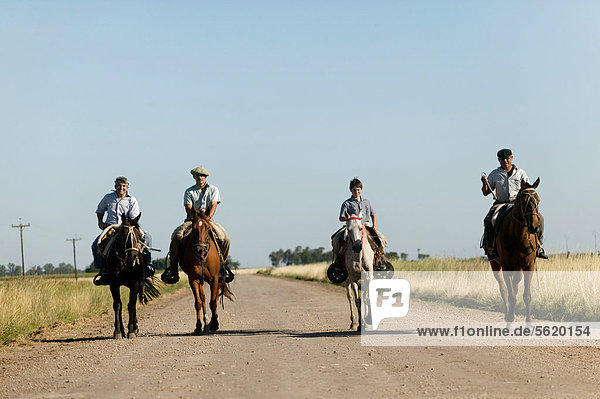Gaucho on horseback  Estancia San Isidro del Llano towards Carmen Casares  Buenos Aires province  Argentina  South America