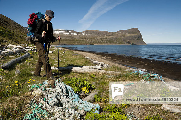 Europa folgen Dorf wandern Hornstrandir Treibholz Island Abfall