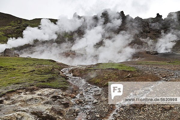 Heiße Quellen im Geothermalgebiet und Tal von Hveragerdi  Hverager_i  Hverager_isbÊr  Hveragerdisbaer  Island  Europa