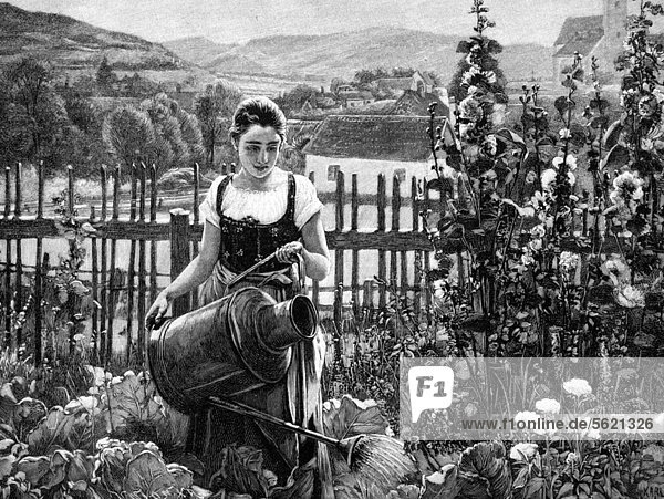 Frau beim Gießen im Hausgarten  historischer Holzstich  ca. 1897
