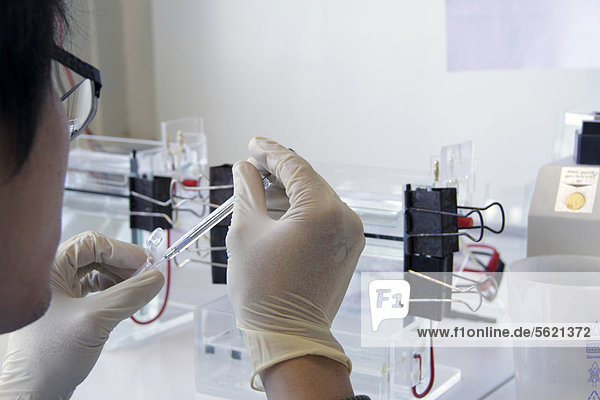 Wissenschaftler bei der Laborarbeit