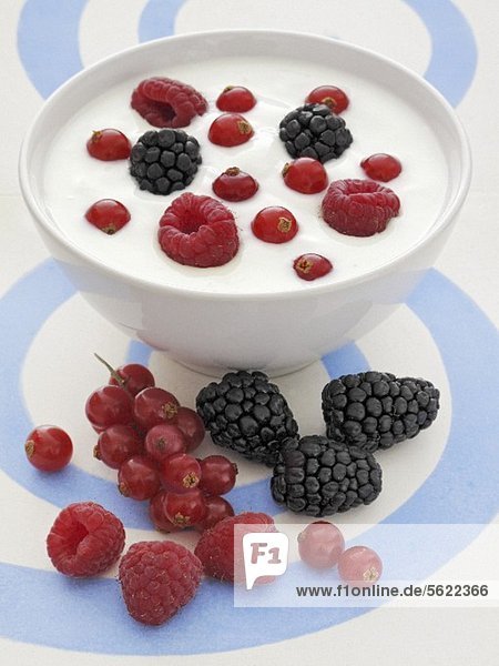 Joghurt mit frischen Beeren