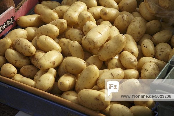 Frische Bio-Kartoffeln in Steige auf dem Markt (Bantry  Irland)