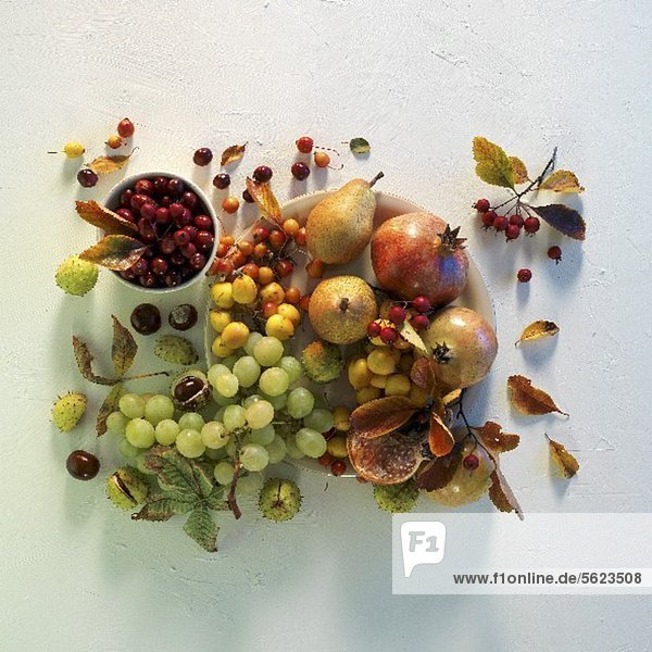 Herbstliches Stilleben mit Trauben,  Birnen,  Hagebutten und Granatäpfeln