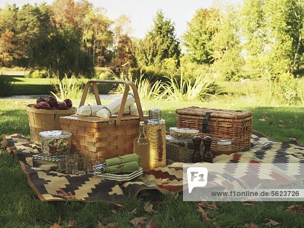 A picnic blanket and picnic baskets on a field