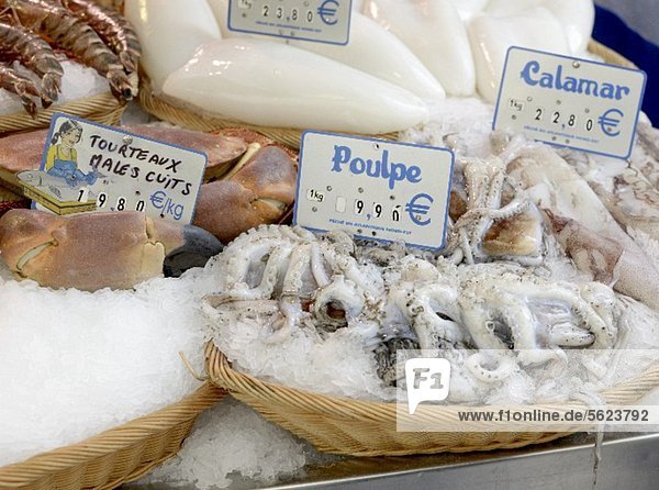 Frische Tintenfische auf dem Markt