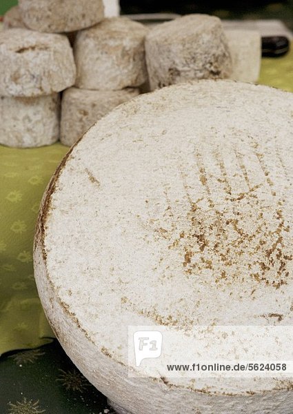 Cheese  Whole Brie Cheese
