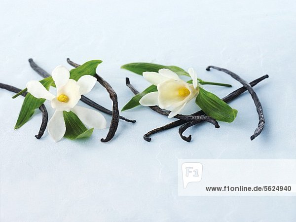 Vanilla pods and vanilla flowers