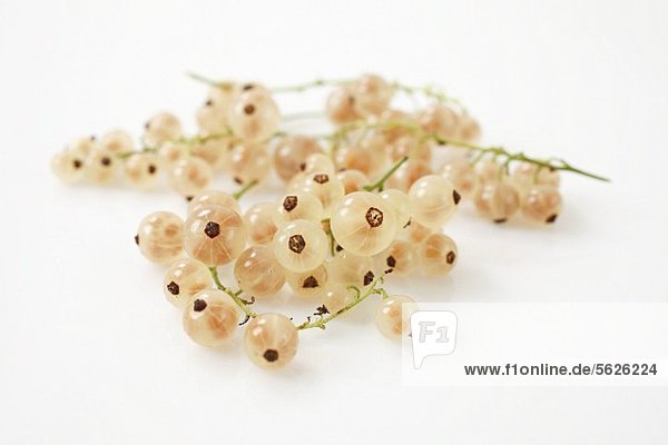 White currants
