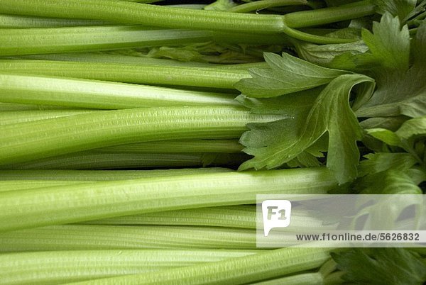 Celery (macro zoom)