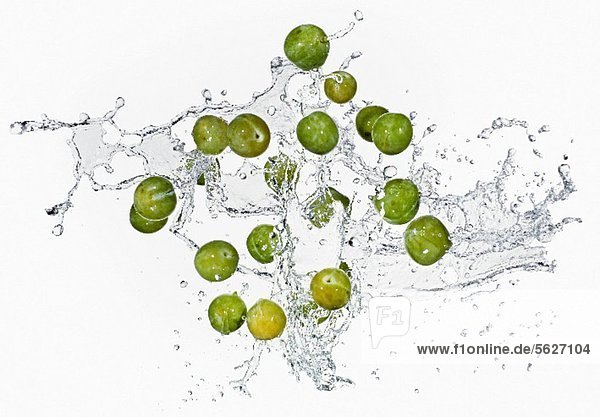 Mirabelles with a water splash