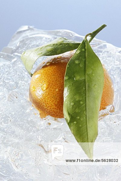 Mandarine mit Blättern im Eisblock