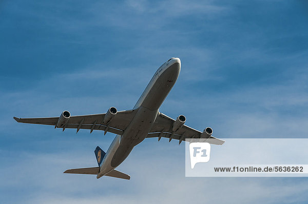 Airbus A340-311 der Deutschen Lufthansa im Steigflug
