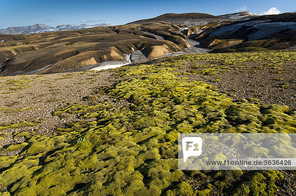 Moos und mit Schnee und Asche bedeckte Rhyolith-Berge am Wanderweg Laugavegur  Landmannalaugar-Hrafntinnusker  Fjallabak Naturschutzgebiet  Hochland  Island  Europa