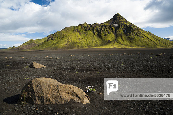 Stein in der schwarzen Lavawüste  mit Moos bedeckte Berge am Wanderweg Laugavegur  ¡lftavatn-Emstrur  Hochland  Island  Europa