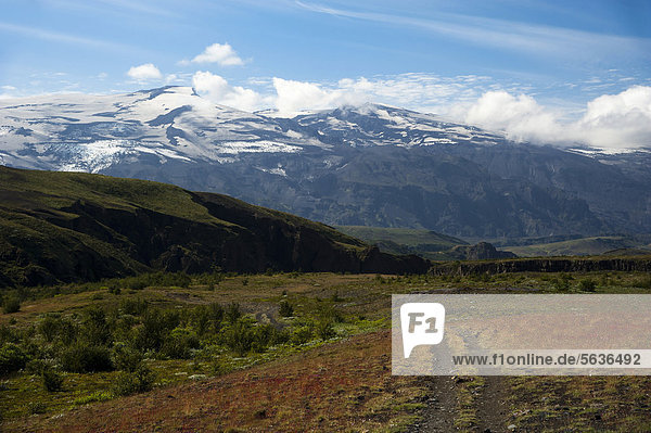 Wanderweg mit Blick auf Vulkan Eyjafjallajökull  Vegetation am Wanderweg Laugavegur  Emstrur-_Ûrsmörk  Thorsmörk  Hochland  Island  Europa