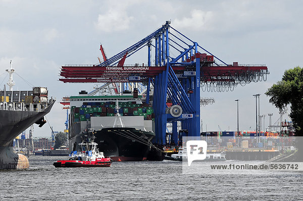 HS BACH Containerschiff Baujahr 2007  246  80m  beim Be- und Entladen  Hamburger Hafen  Hansestadt Hamburg  Deutschland  Europa