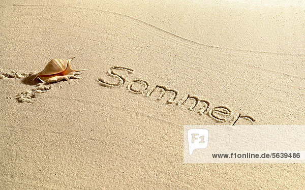 Sommer in Sand geschrieben