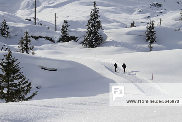 Zwei Wanderer auf einem verschneiten Weg