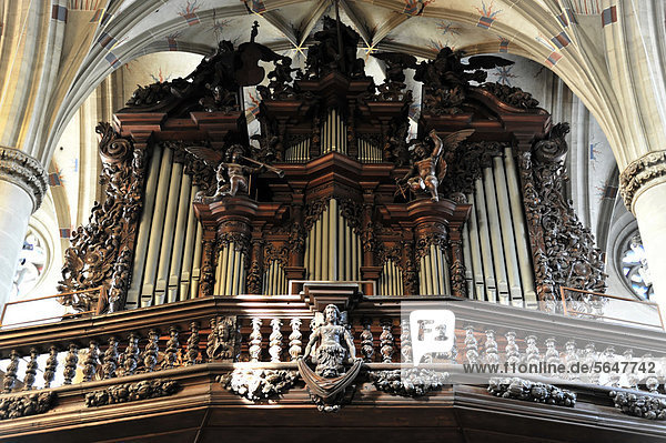 Orgel  Heilig-Kreuz-Münster  Baubeginn um 1315  Schwäbisch Gmünd  Baden-Württemberg  Deutschland  Europa
