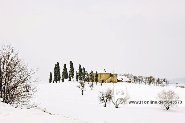 Bauernhaus Europa Ländliches Motiv ländliche Motive Winter Toskana Italien Pienza