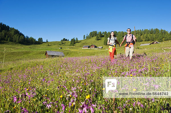 Austria  Salzburg  Couple walking through alpine meadow