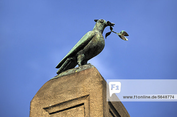 Friedenstaube mit Ölzweig auf einem Obelisk zu Ehren von Kaiser Karl IV.  gegen blauen Himmel  Obere Karlsbrücke  Nürnberg  Mittelfranken  Bayern  Deutschland  Europa
