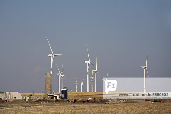 Vereinigte Staaten von Amerika USA Windturbine Windrad Windräder Bauernhof Hof Höfe