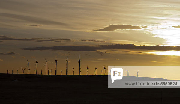 Vereinigte Staaten von Amerika USA Windturbine Windrad Windräder Abend Beleuchtung Licht Cheyenne Wyoming