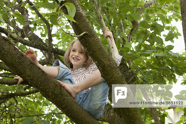 Mädchen auf Baum sitzend  lächelnd