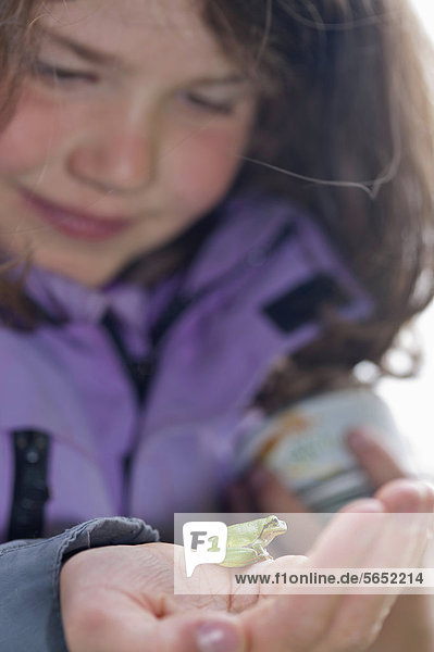 Deutschland  Mädchen schaut auf Laubfrosch  Nahaufnahme