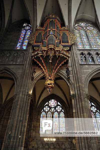 Langhausorgel mit ihrem erhaltenen gotischen Gehäuse  Langhaus  Innenansicht  Straßburger Münster  Liebfrauenmünster  CathÈdrale Notre-Dame  Kathedrale  Strasbourg  Straßburg  Bas-Rhin  Elsaß  Elsass  Frankreich  Europa