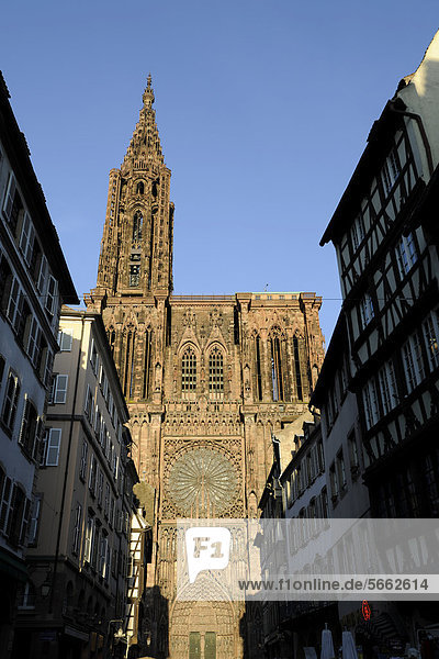 Hauptportal  Westfassade  Straßburger Münster  Liebfrauenmünster  CathÈdrale Notre-Dame  Kathedrale  Strasbourg  Straßburg  Bas-Rhin  Elsaß  Elsass  Frankreich  Europa  ÖffentlicherGrund