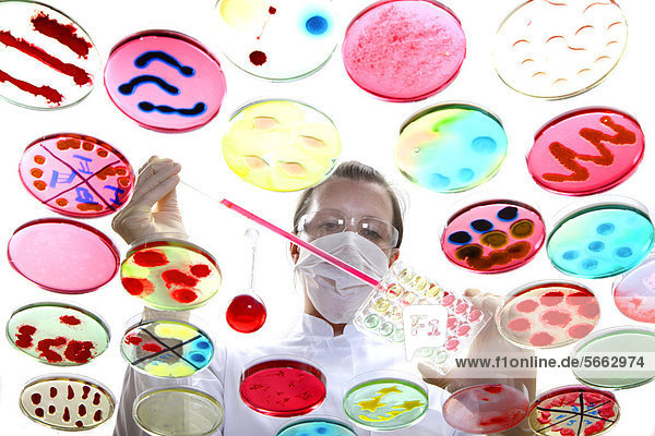 Analyse von Bakterienkulturen  Zucht von Bakterien in Petrischalen