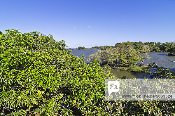 Aussicht auf den Nicaragua-See  Isletas  Lago de Nicaragua  Nicaragua  Mittelamerika