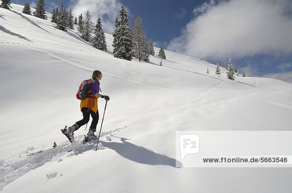 Woman with touring skis  Salzburg region  Northern Limestone Alps  Austria  Europe